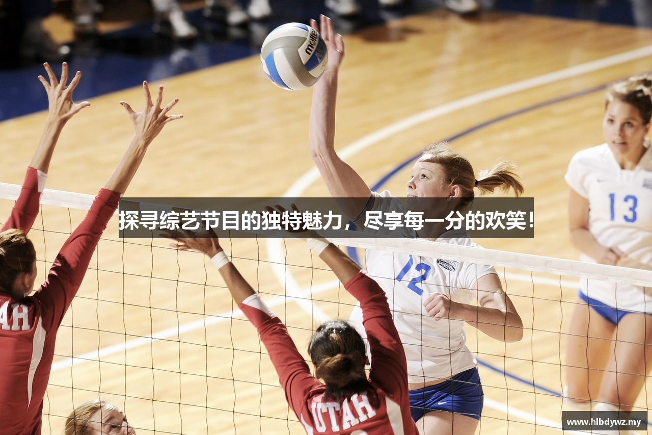 探寻综艺节目的独特魅力，尽享每一分的欢笑！